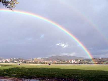 llama rainbow